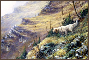 M�� ������ ���������� ������